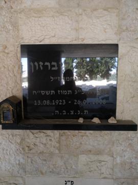 תמונת מצבה