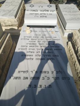 תמונת מצבה
