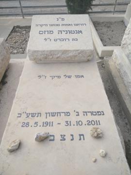 תמונת מצבה