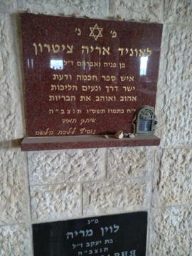 תמונת מצבה