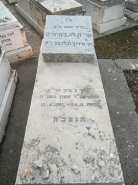 תמונת מצבה