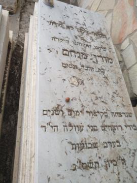 תמונת מצבה