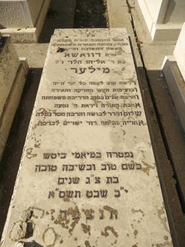 תמונת מצבה