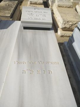 תמונת מצבה