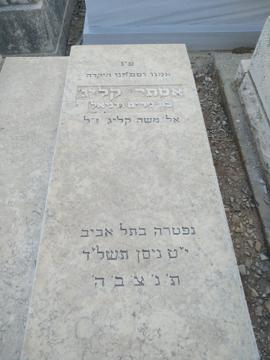 תמונת מצבה