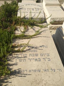 תמונת מצבה
