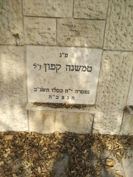 תמונת מצבה