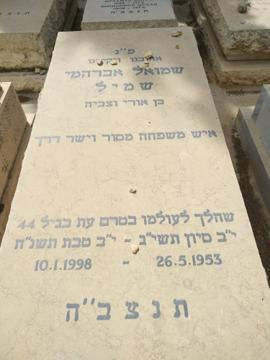תמונת מצבה