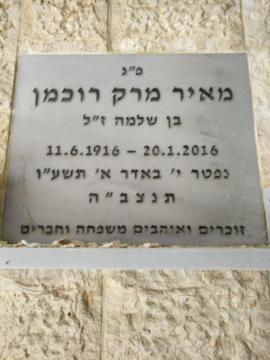 תמונת מצבה
