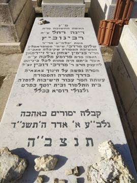 תמונת מצבה