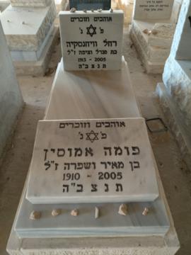 תמונת מצבה