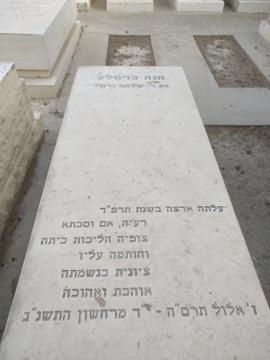 תמונת מצבה