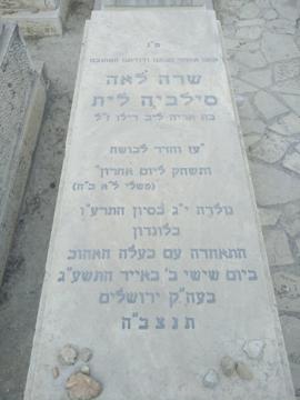 תמונת מצבה