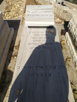תמונת מצבה