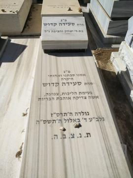 תמונת מצבה