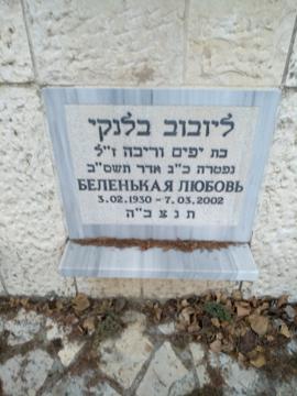 תמונת מצבה