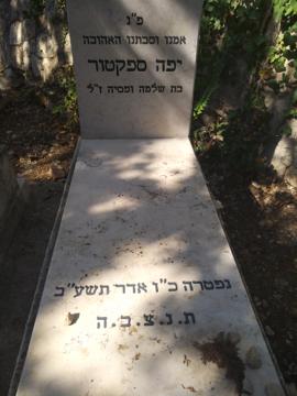 תמונת מצבה