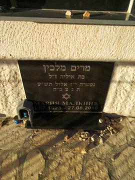 תמונת מצבה