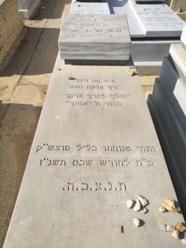 תמונת מצבה