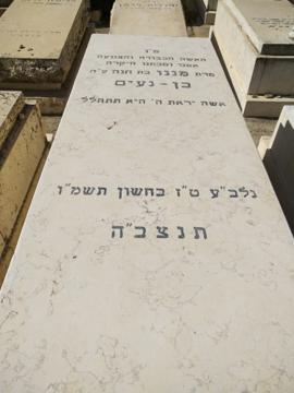 תמונת מצבה