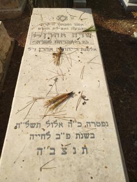תמונת מצבה