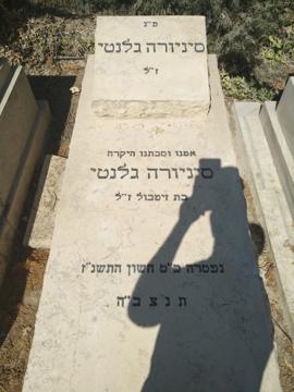 תמונת מצבה