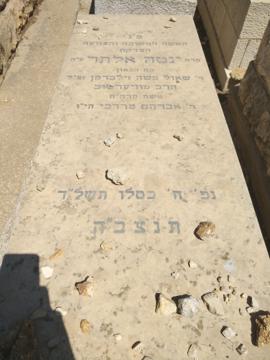 תמונת מצבה