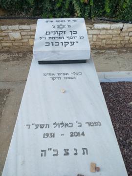 תמונת מצבה