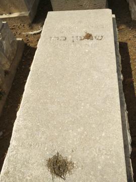 תמונת מצבה