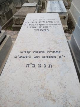 תמונת מצבה