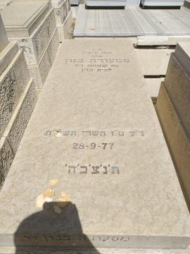 תמונת מצבה
