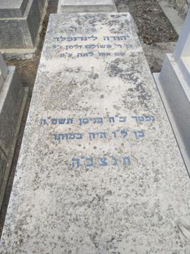 תמונת מצבה