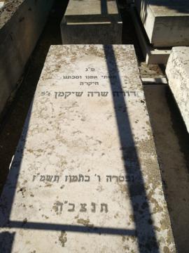 תמונת מצבה