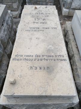 תמונת מצבה