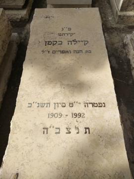 תמונת מצבה