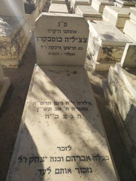תמונת מצבה