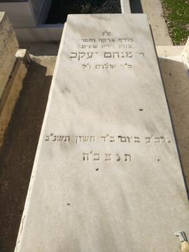 תמונת מצבה