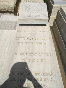 תמונת מצבה