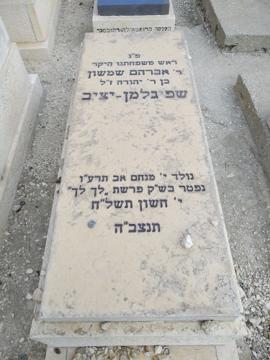 תמונת מצבה