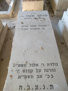 תמונת מצבה