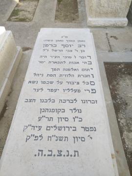 תמונת מצבה