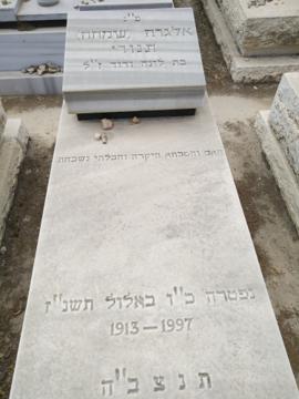 תמונת מצבה