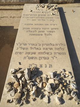 תמונת מצבה