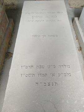 תמונת מצבה