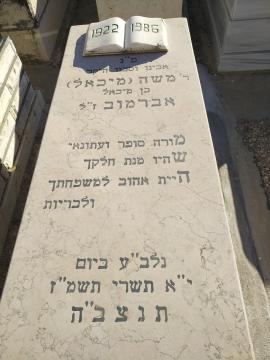 תמונת מצבה