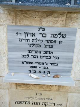 תמונת מצבה