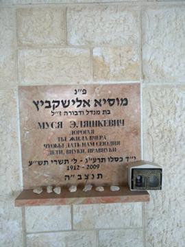 תמונת מצבה