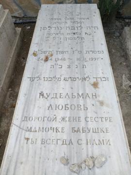 תמונת מצבה