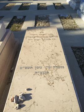 תמונת מצבה