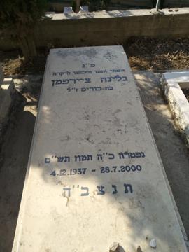תמונת מצבה